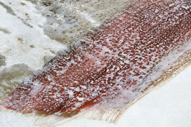 Multiple layers of transparent washes in grey, brown, red and green  with areas of solid colour on a white and beige background