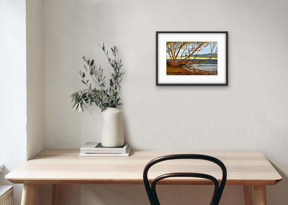 Australia coast sunrise and glowing mangrove tree