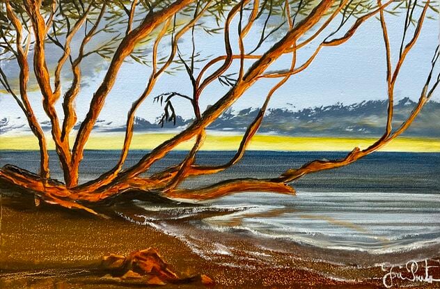 Australia coast sunrise and glowing mangrove tree