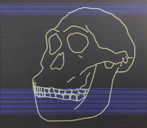 Australopithecus computer skull portrait