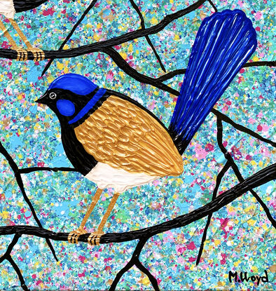 two blue wrens fairy wrens birds in a tree with a blue background