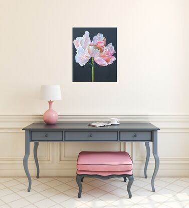 Single stemmed peach colored peony on black background.