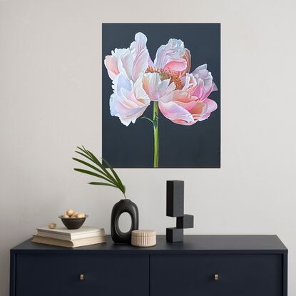 Single stemmed peach colored peony on black background.