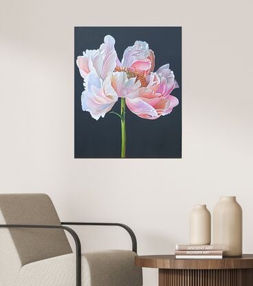 Single stemmed peach colored peony on black background.