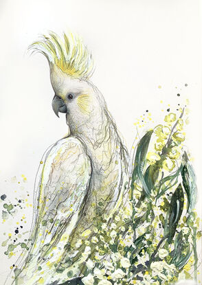 A mixed media painting of an Australian cockatoo in a wattle tree, by Sydney bird artist Leni Kae. The cockatoo sits with its crest up as a symbol of embracing the joy and happiness of the new season. 