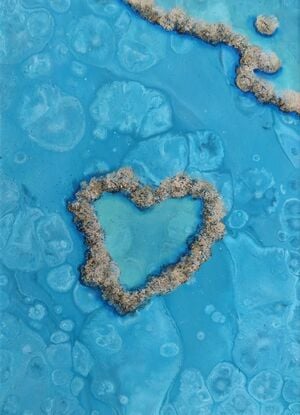 heart reef in great barrier reef