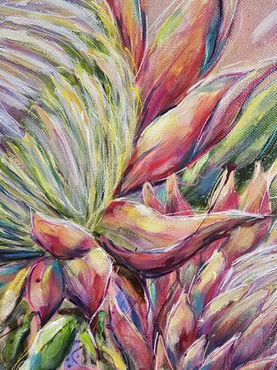 King Protea blooming with pride 