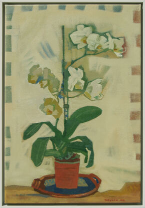 White orchid in a red terracotta pot