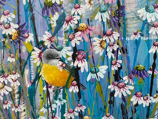 A little yellow bellied robin amongst daisies.