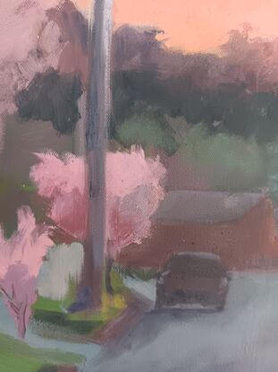 Moody Landscape
Australian scene
Purple and pinks
Urban landscape
Trees in Springtime
Springtime

