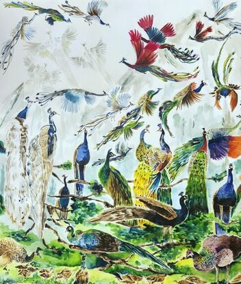 100 peacock, peafowls and peacock in a scenery