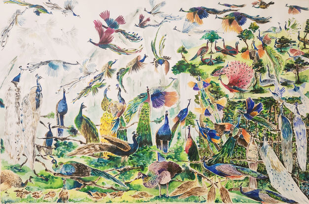 100 peacock, peafowls and peacock in a scenery