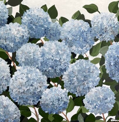 Abstract blue hydrangeas 