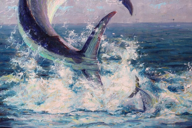 A black marlin breaking the water surface while chasing down trevallies.