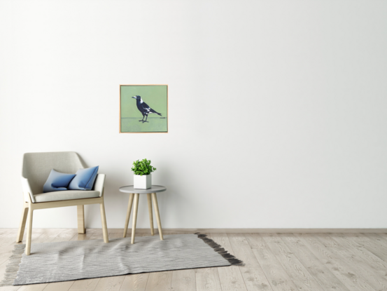 Australian black and white Magpie standing in front of a crisp modern green background