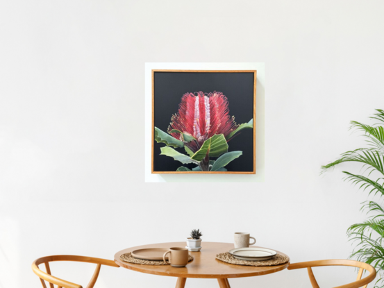 This is a detailed painting of a red and pink Banksia flower with vibrant green leaves against a black background. The intricate details make it a striking piece.