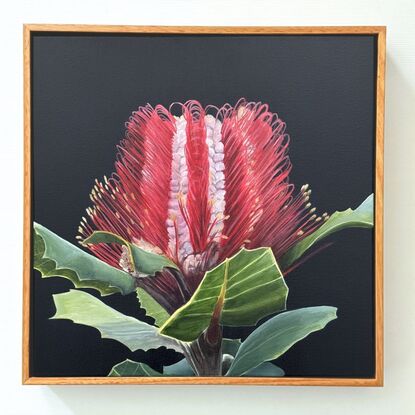 This is a detailed painting of a red and pink Banksia flower with vibrant green leaves against a black background. The intricate details make it a striking piece.