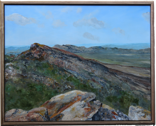 The beauty of Ikara or Wilpena Pound captured in a medium sized painting.