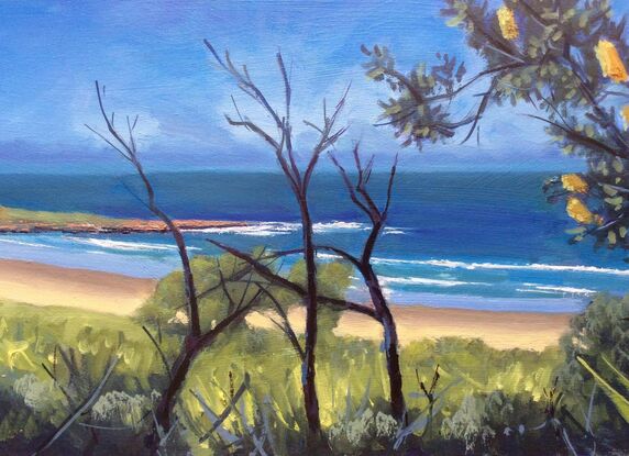 View across native trees and shrubs towards Pippi Beach Yamba and Lovers Point headland.  There is a beautiful stretch of sand along the shoreline.