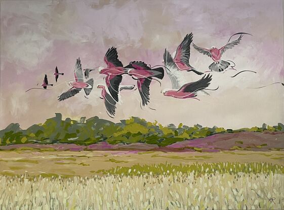 A flock of galahs flying across the landscape in the Central West NSW