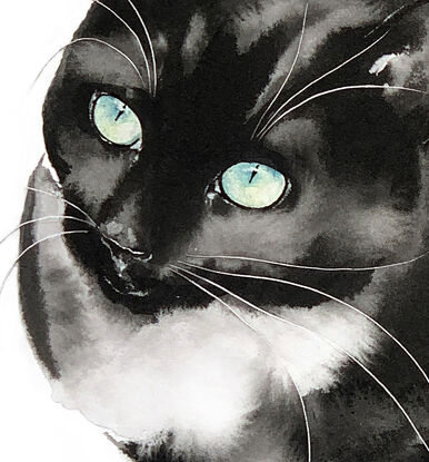 This striking portrait captures a black cat with a mesmerizing gaze.