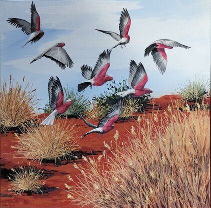 A flock of galahs taking flight