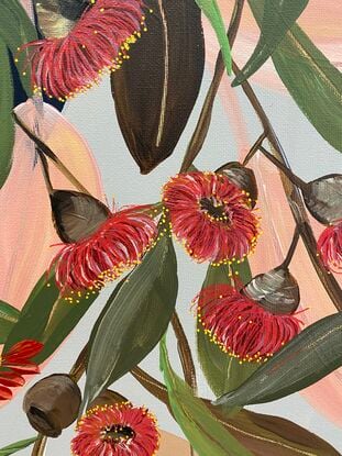 Blue background with Red Eucalyptus flowers