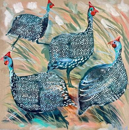 Guinea fowl
