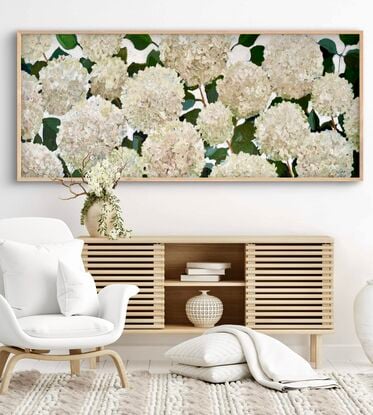 White hydrangeas 