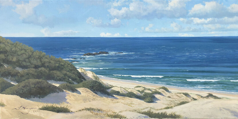 The view from Sugarloaf Point over Lighthouse Beach, Seal Rocks, NSW.