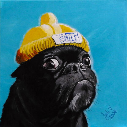 Cute pug in a yellow beanie!