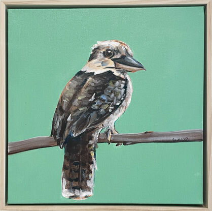 Australian Kookaburra standing in front of a rich modern green background