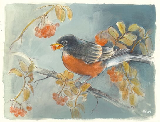 Mixed media painting of a robin 