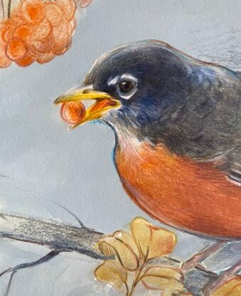 Mixed media painting of a robin 