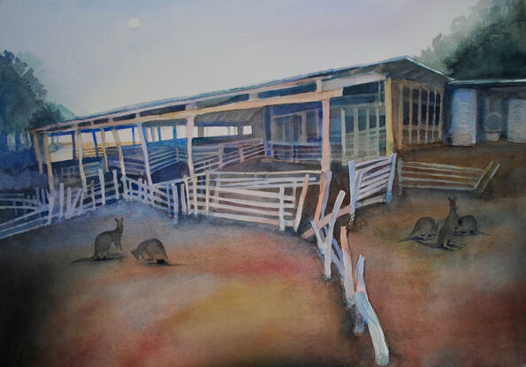 An old timber wool shed deserted in a paddock with kangaroos