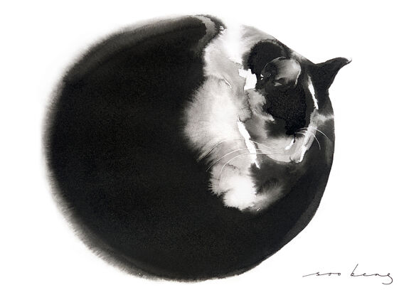 The cat body perfectly coiled in a serene ball of comfort.