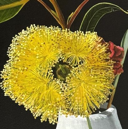 The painting features a bright yellow Eucalyptus Pressiana flower in full bloom, set against a dark background. Its vibrant stamens and green-grey leaves with bug marks are meticulously detailed. The flower rests in a simple white vase, creating a striking contrast with the moody backdrop.