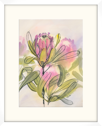 Four Proteas with one standing out. Black ink defines the flower and leaves.