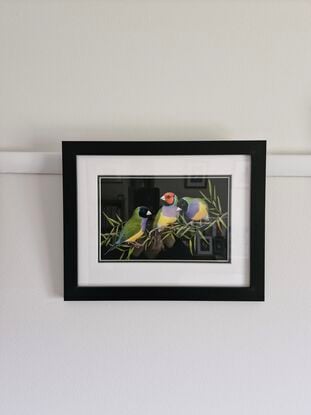 Three brightly coloured finches on a black background with twining vine leaves.