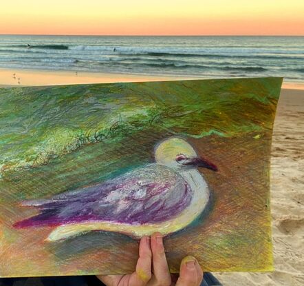 A seagull, close-up, and reflecting the colours of the ocean and sky at sunset in Manly. Drawn in situ on the beach at sunset in autumn, 2024. 