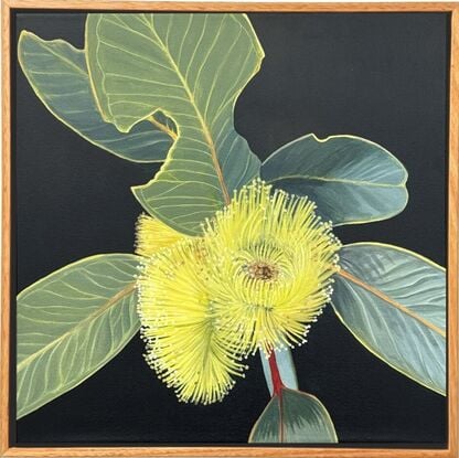 "Radiant Joy" features a bright yellow Eucalyptus Pressiana flower with green-grey leaves, celebrating the beauty of Australian flora and nature's imperfections.