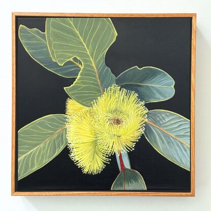 "Radiant Joy" features a bright yellow Eucalyptus Pressiana flower with green-grey leaves, celebrating the beauty of Australian flora and nature's imperfections.