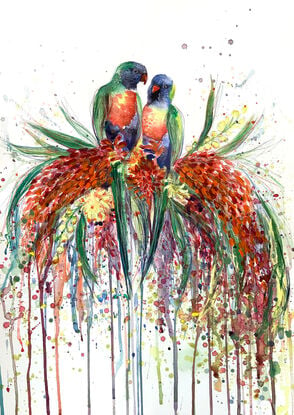 Two rainbow lorikeets sitting with Australian bush flowers