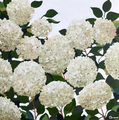 Abstract white hydrangeas 