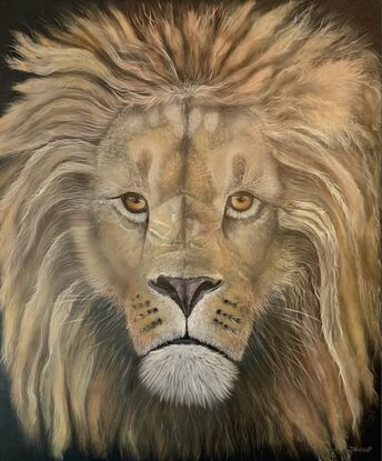 Portrait of the King of the jungle 