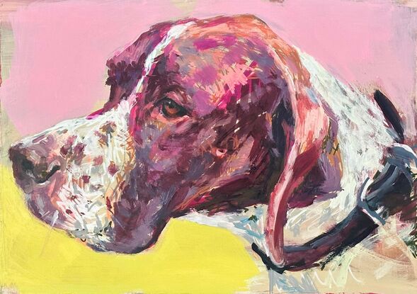 An original painting of an english pointer, painted in louder than life colours, with a pop art feel