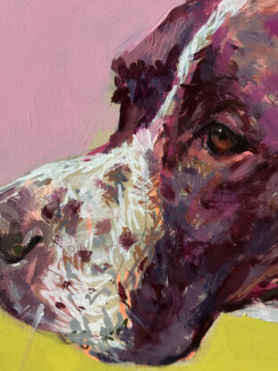 An original painting of an english pointer, painted in louder than life colours, with a pop art feel