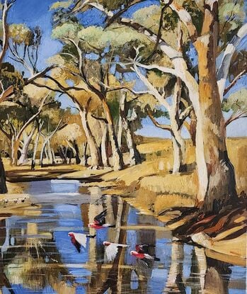 Australian gum trees along a riverbed with galahs.