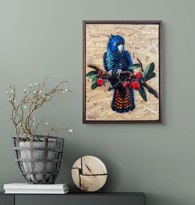 a red tailed black cockatoo sits on a branch 