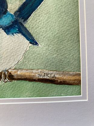 Two tiny Australian Blue Wren's sitting on a branch with a few Eucalyptus leaves